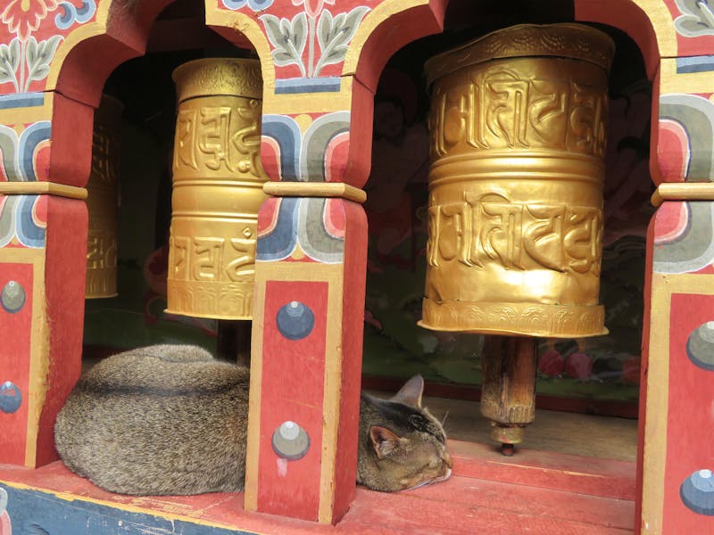 Im Kloster in Haa im Himalaya - ©Jürgen Schmeißer (Eberhardt TRAVEL)