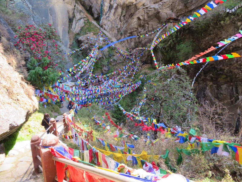 Am Tigernest-Kloster im Himalaya - ©Ngoc Anh Nguyen (Eberhardt TRAVEL)
