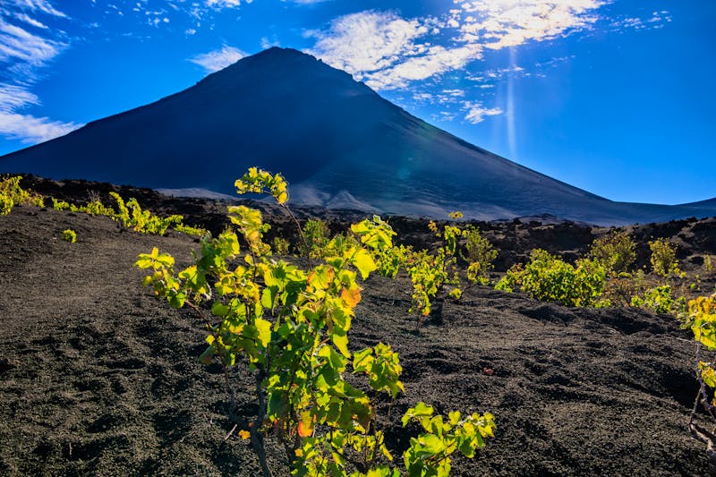 Vulkan und Weinfelder auf der Insel Fogo - Kapverden - ©Ralf - stock.adobe.com