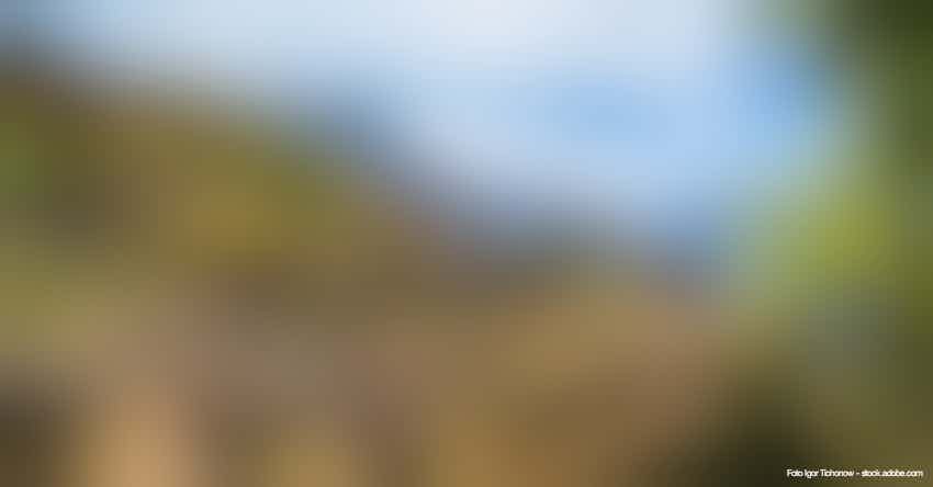 Insel Santo Antao, Kapverden -  Trekkingtrail Corda Coculli inmitten der Terrassen-Anbauflächen – © Igor Tichonow - stock.adobe.com