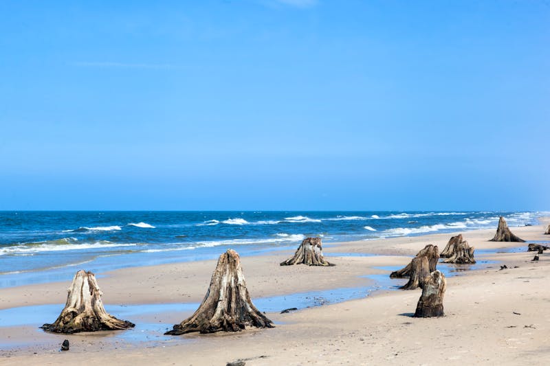 Strand im Słowinski Nationalpark an der polnischen Ostsee - ©Photocreo Bednarek - stock.adobe.com
