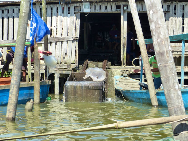 Qualenfang in einem Fischerdorf bei Kuching, Bako-Nationalpark, Borneo, Malaysia - ©Maria Michel (Eberhardt TRAVEL)
