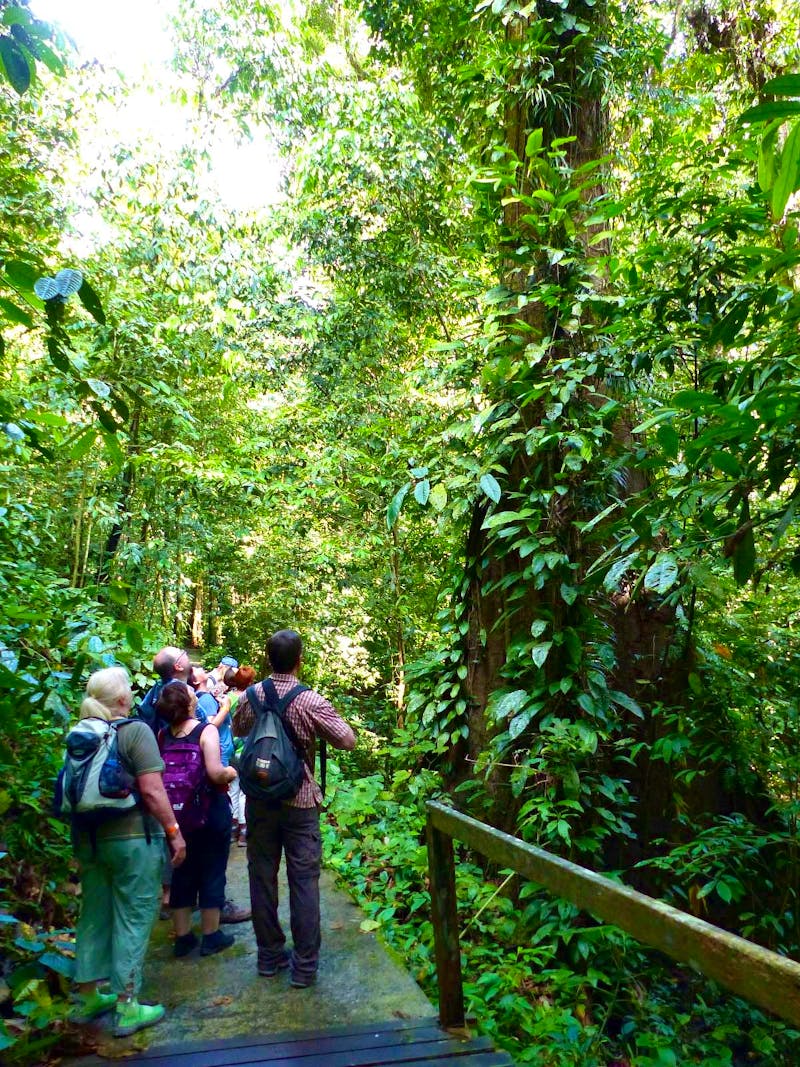 Eberhardt-Reisegäste im Gunung Mulu-Nationalpark, Borneo, Malaysia - ©Maria Michel (Eberhardt TRAVEL)