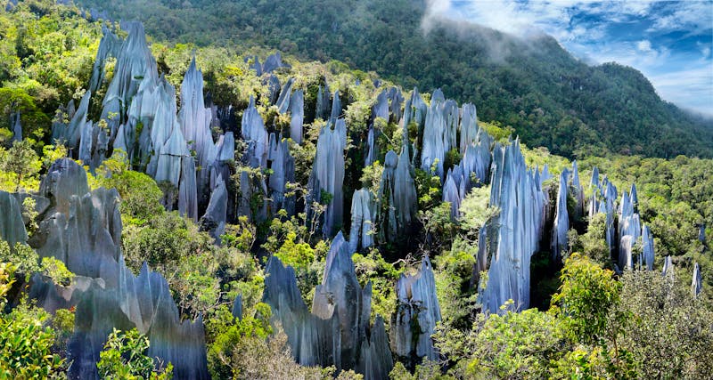 Pinnacles-Felsen im Gunung Mulu-Nationalpark, Borneo - ©MICHEL - stock.adobe.com