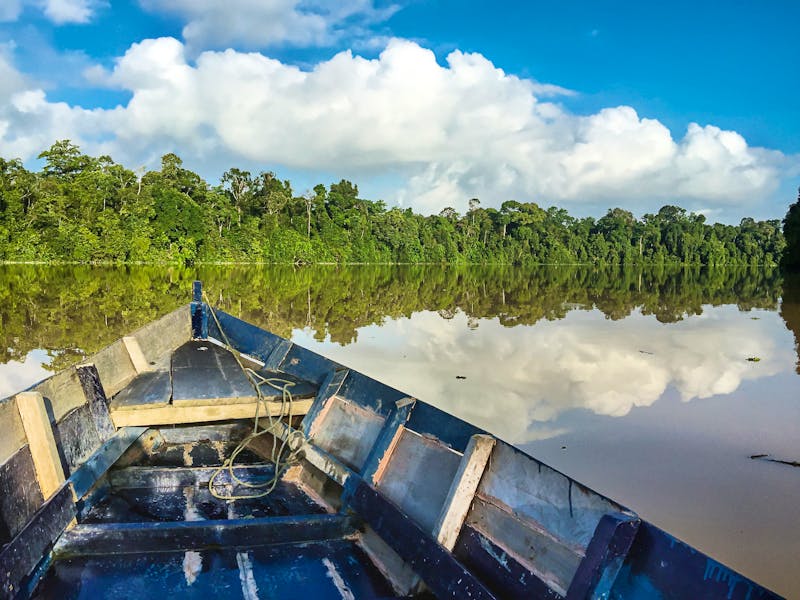 Bootsfahrt auf dem Kinabatangan-Fluss, Sabah, Borneo - ©Juanamari Gonzalez - stock.adobe
