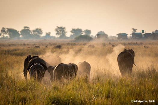 Beautiful wildlife at Chobe National Park, Botswana – © LMspencer - Fotolia