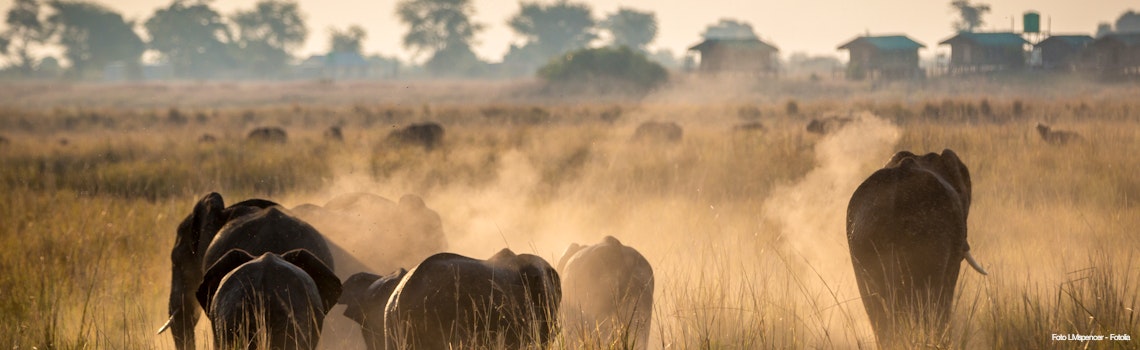 Beautiful wildlife at Chobe National Park, Botswana – © LMspencer - Fotolia