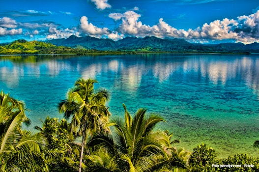 Fiji Fantasy – © planetjohnson - Fotolia