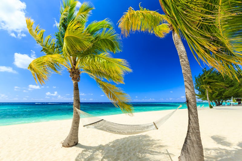 Hammock and palm trees at 7 mile beach, Grand Cayman - ©sorincolac - Fotolia