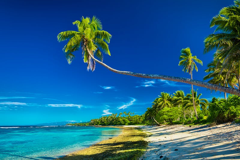 Tropical beach on south side of Samoa Island with many palm trees - &copy;Martin Valigursky - Fotolia