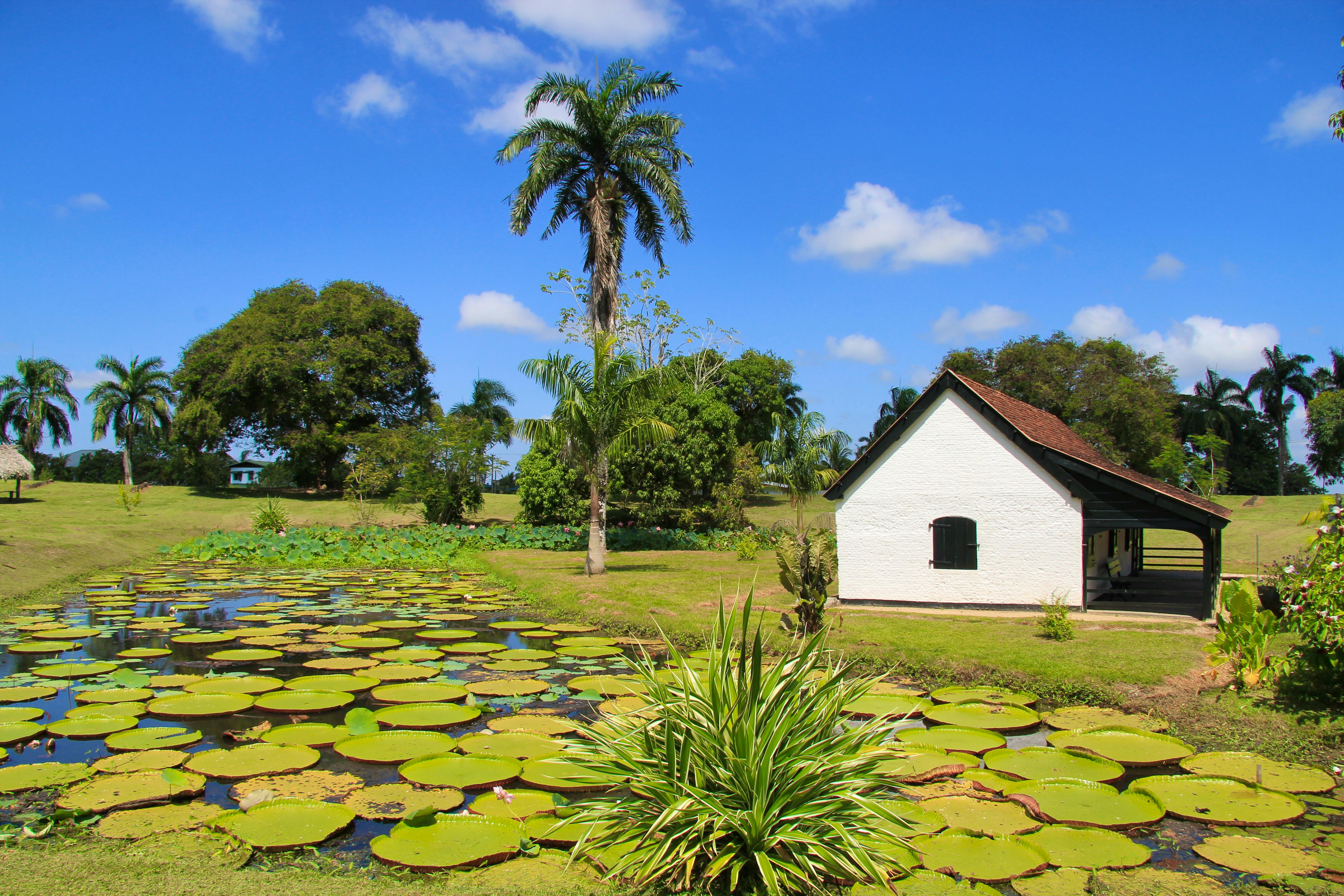 Suriname - Fort Nieuw AMSTERDAM&nbsp;&ndash;&nbsp;&copy;&nbsp;JM-Guyon - Fotolia