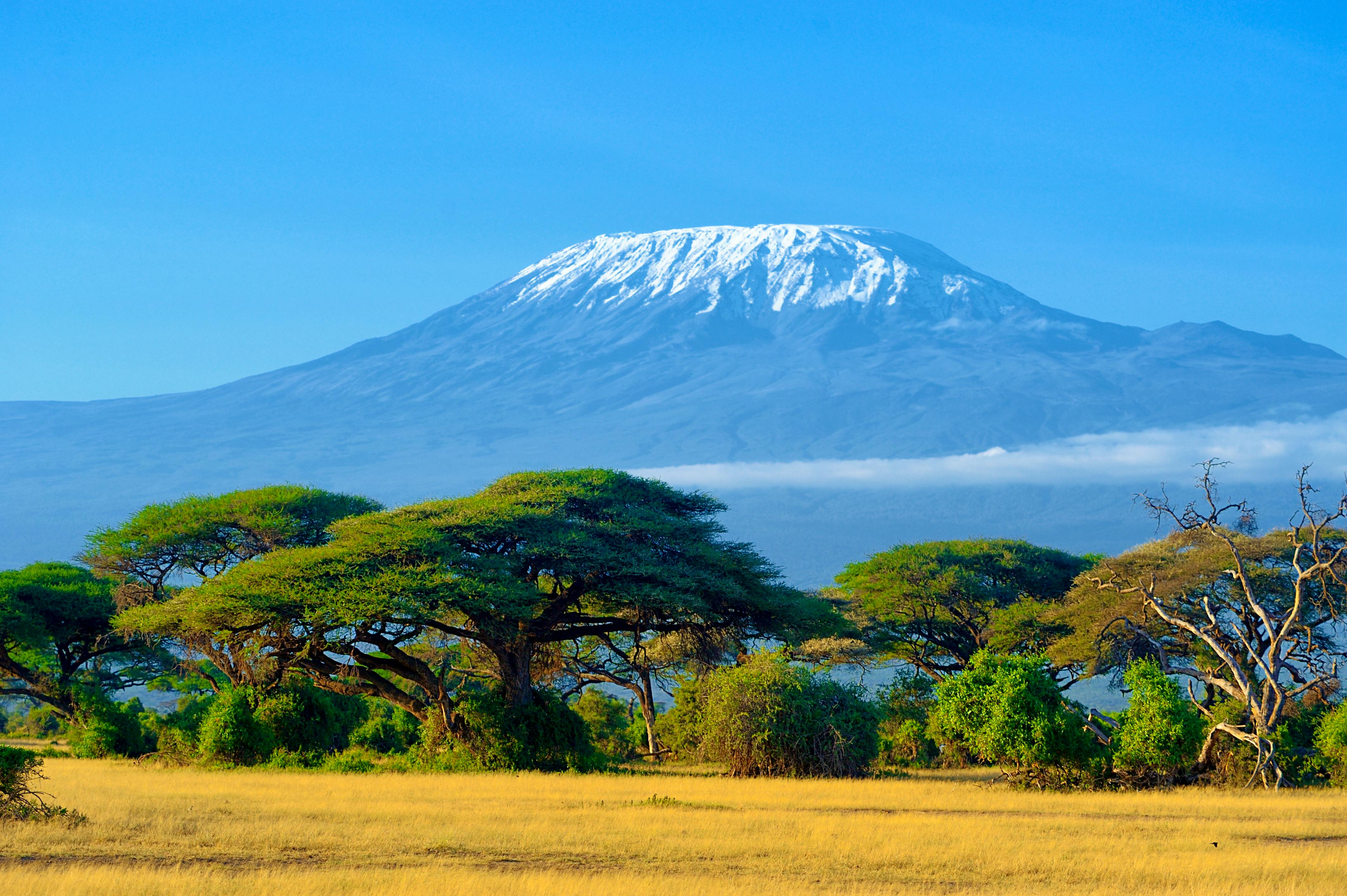 Snow on top of Mount Kilimanjaro in Amboseli &copy; byrdyak - Fotolia