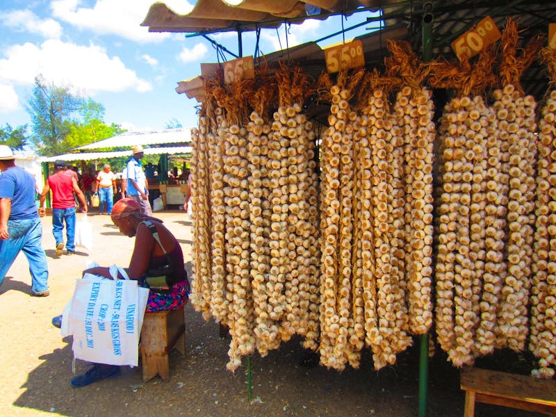 Auf dem Markt in Camagüey - ©Madlen Lippe (Eberhardt TRAVEL)