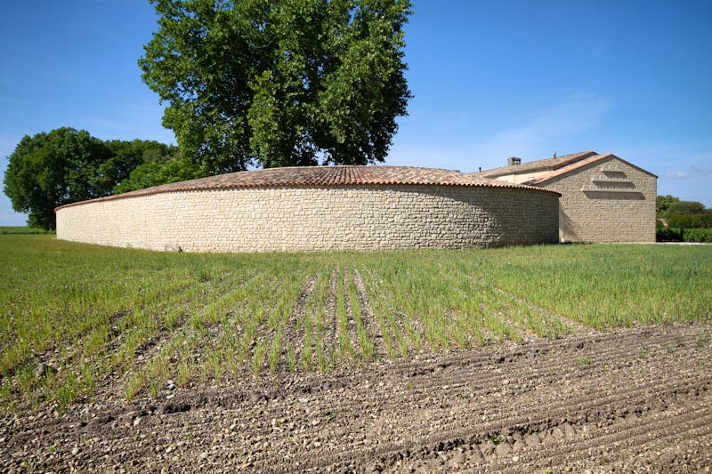 Château Mouton Rotschild - ©emanelda - stock.adobe.com