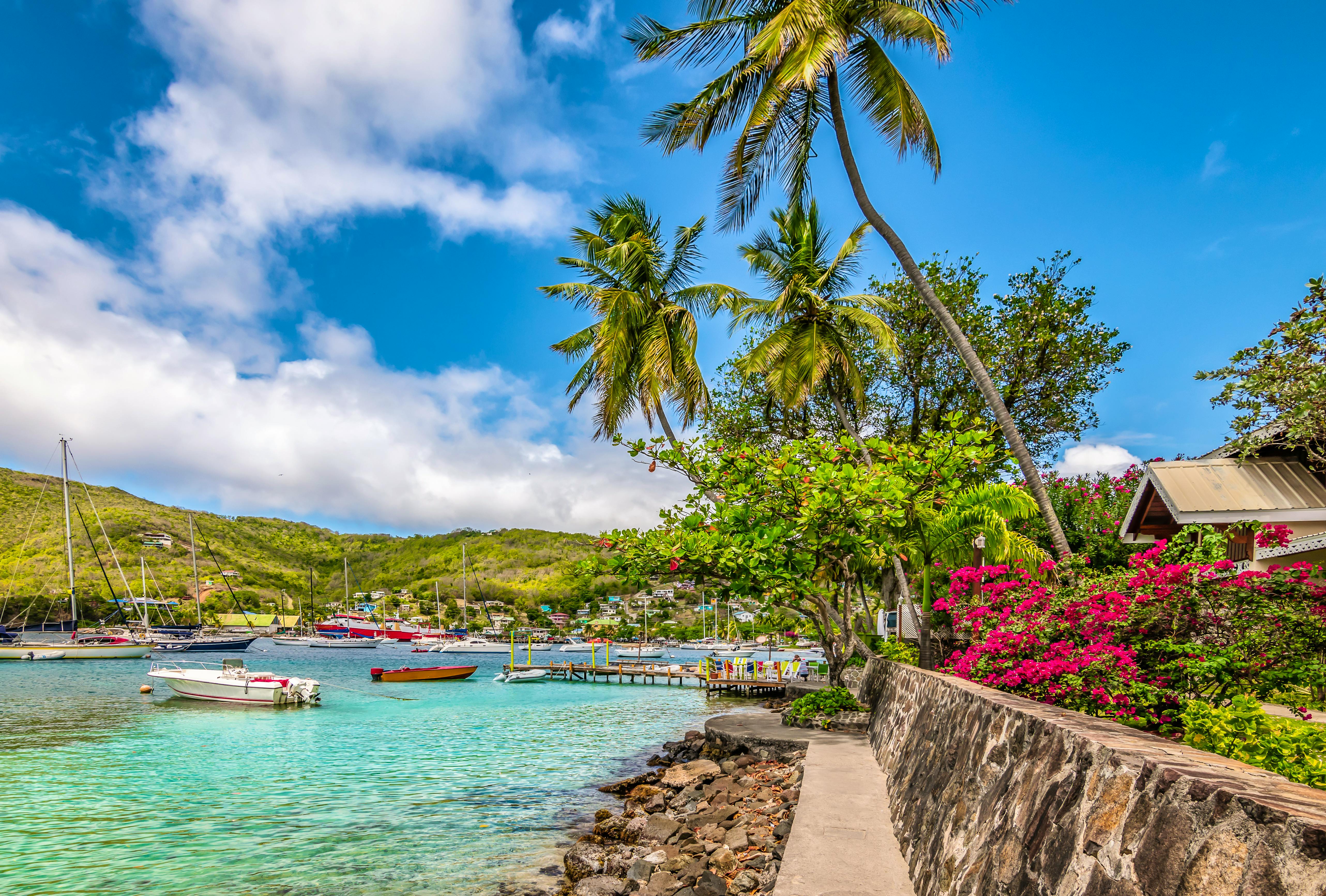 Beautiful landscape of Bequia with palm trees along the waterfro&nbsp;&ndash;&nbsp;&copy;&nbsp;napa74 - stock.adobe.com