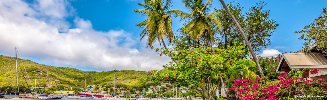 Beautiful landscape of Bequia with palm trees along the waterfro – © napa74 - stock.adobe.com