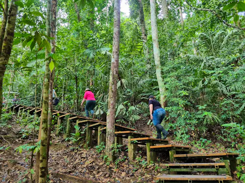Taman Negara Nationalpark - Wanderung zum Baumwipfelpfad (Canopy Walkway) &ndash; &copy; Katrin Deutschbein (Eberhardt TRAVEL)