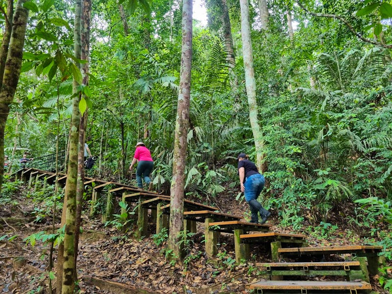 Taman Negara Nationalpark - Wanderung zum Baumwipfelpfad (Canopy Walkway) - ©Katrin Deutschbein (Eberhardt TRAVEL)