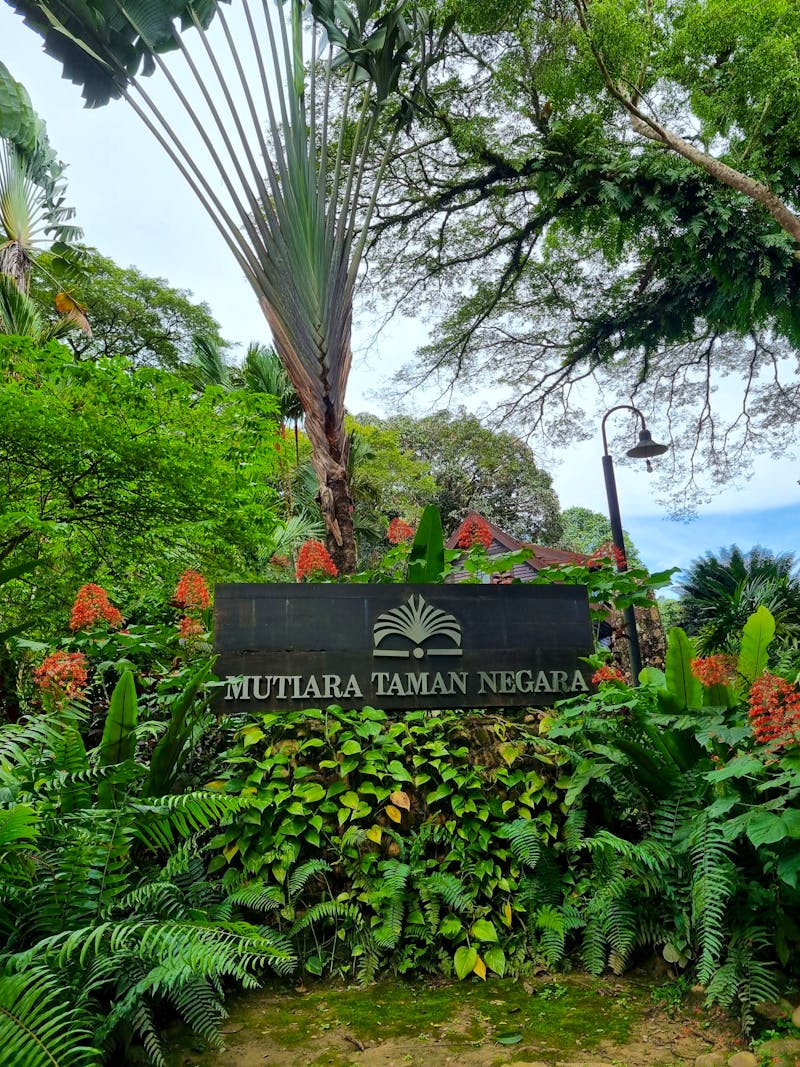 Taman Negara Nationalpark - Mutiara Taman Negara Resort - ©Katrin Deutschbein (Eberhardt TRAVEL)