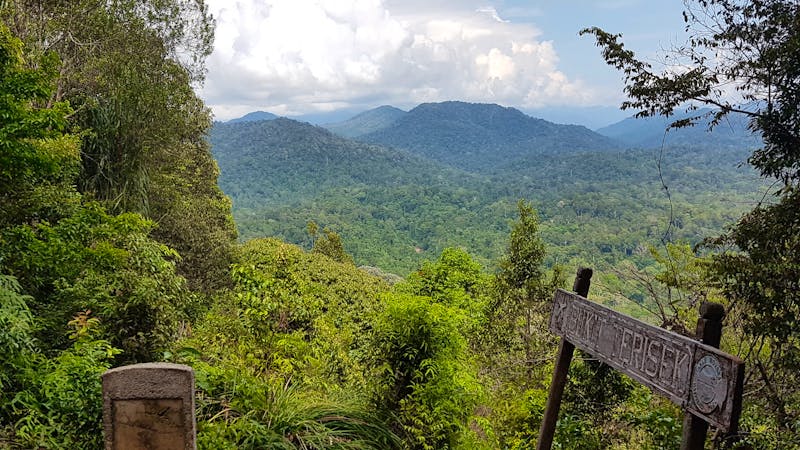 Taman Negara Nationalpark - Blick zu den höchsten Bergen der Malayischen Halbinsel - ©Ria Heilmann (Eberhardt TRAVEL)