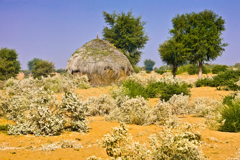 Eine traditionelle Bishnoi-Rundhütte in der indischen Thar-Wüste bei Khejarla - ©Claus Schlüter - stock.adobe.co