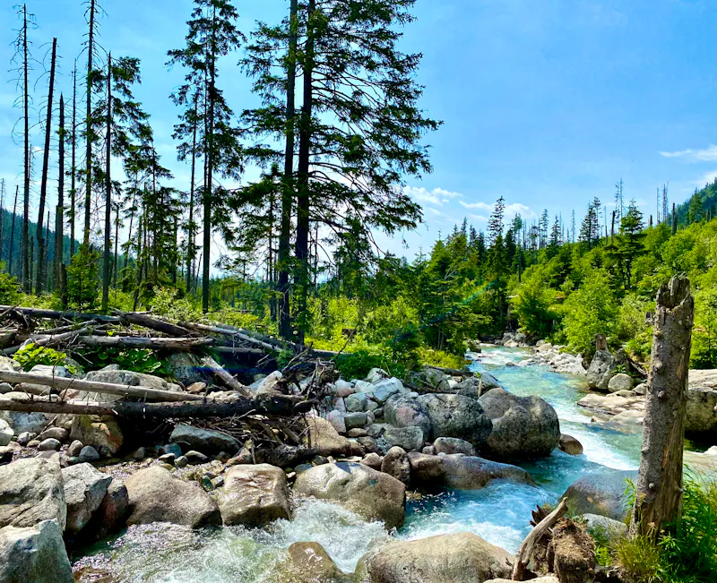 Gebirgsbach in der Hohen Tatra am Hrebienok - &copy;Bartomiej - stock.adobe.com