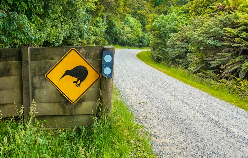 Achtung Kiwi im Rakiura Nationalpark auf Stewart Island - Neuseeland - ©Luis - stock.adobe.com