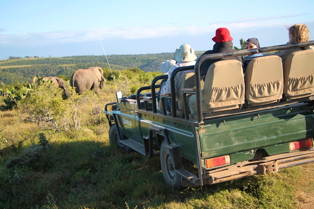 Jeepsafari im Kariega Game Reserve - Elefantenbeobachtung – © Kristin Weigel - Eberhardt TRAVEL