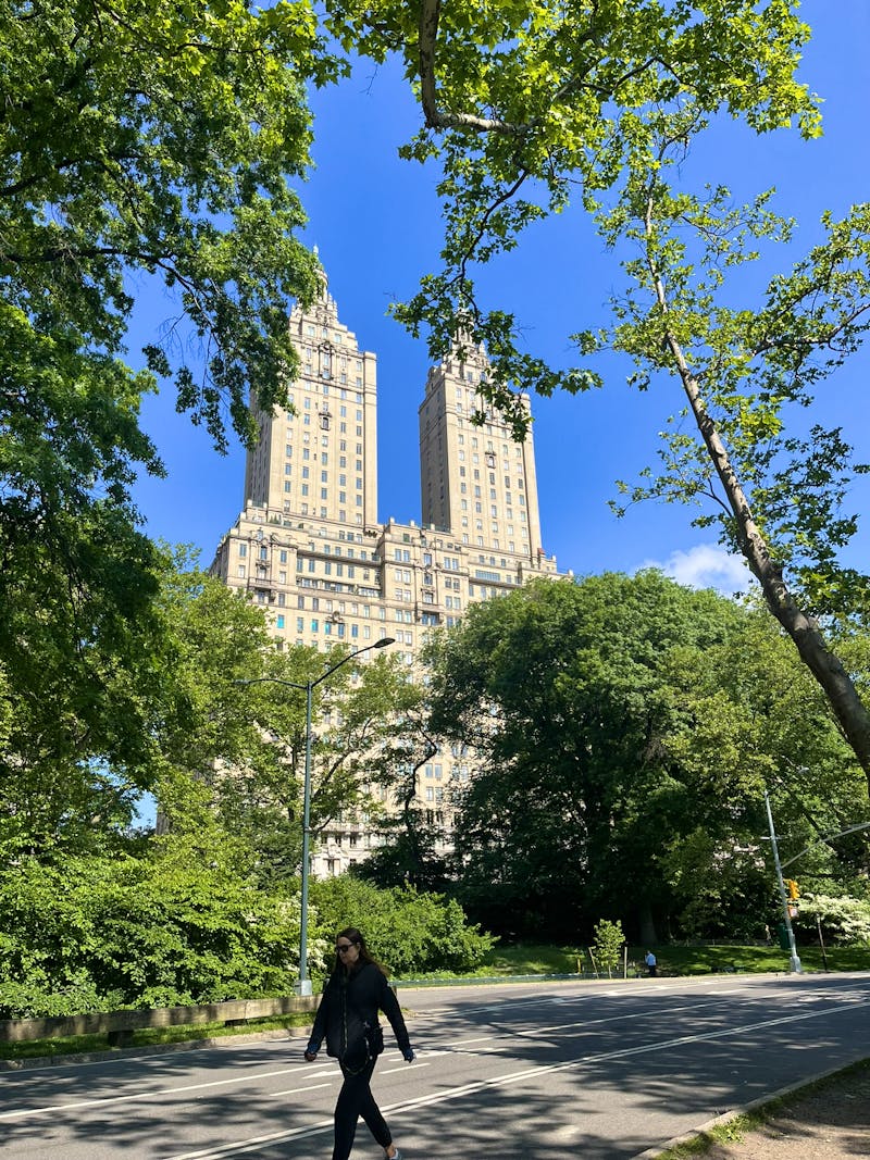 Central Park - ©Madlena Voigt