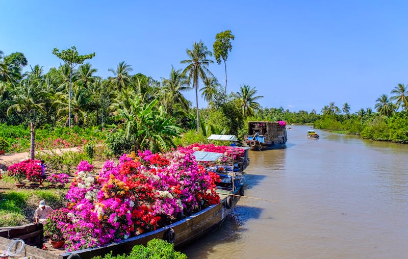 Mekong-Delta in Vietnam - Boote auf dem Weg zum Blumenmarkt - ©Phuong - stock.adobe.com