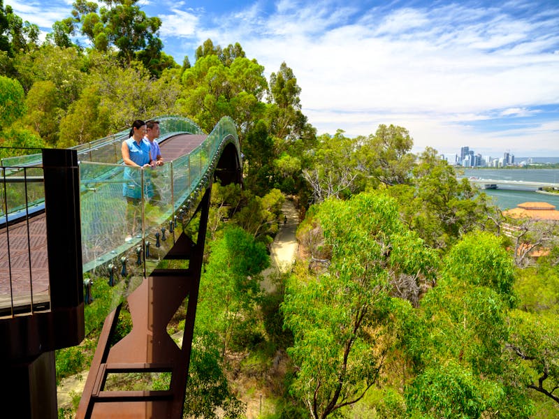 Kings Park und Botanischer Garten, Perth - ©DAN AVILA PHOTOGRAPHY - Tourism Western Australia