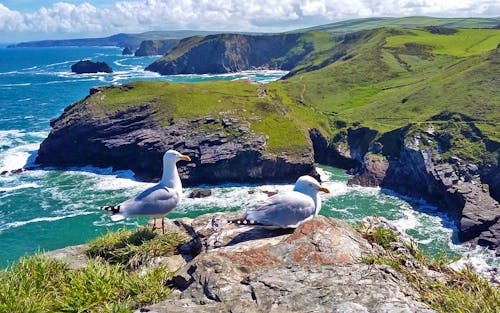 Blick vom Tintagel Castle &ndash; &copy; Florian Härtl - Eberhardt TRAVEL