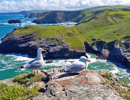 Blick vom Tintagel Castle – © Florian Härtl - Eberhardt TRAVEL