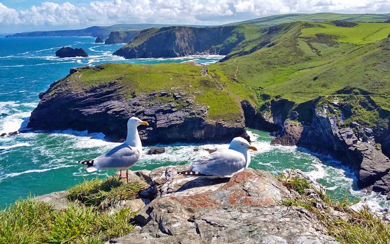 Blick vom Tintagel Castle - ©Florian Härtl - Eberhardt TRAVEL