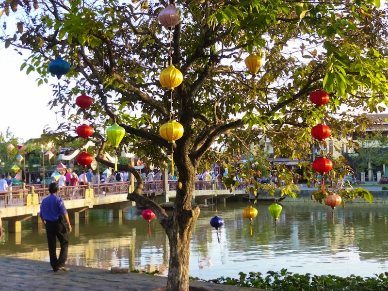 Hoi An - mit Laternen geschmückter Baum in der Innenstadt - ©Vicky Kern (Eberhardt TRAVEL)