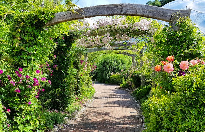 Eden Project - botanischer Garten in Cornwall - ©Marlies Thrum - Eberhardt TRAVEL