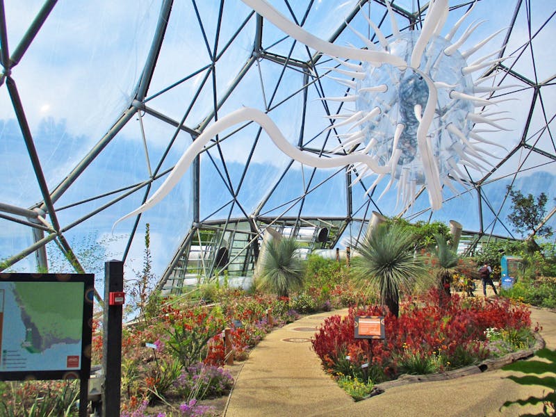 Eden Project - botanischer Garten in Cornwall - ©Constanze Hölig - Eberhardt TRAVEL