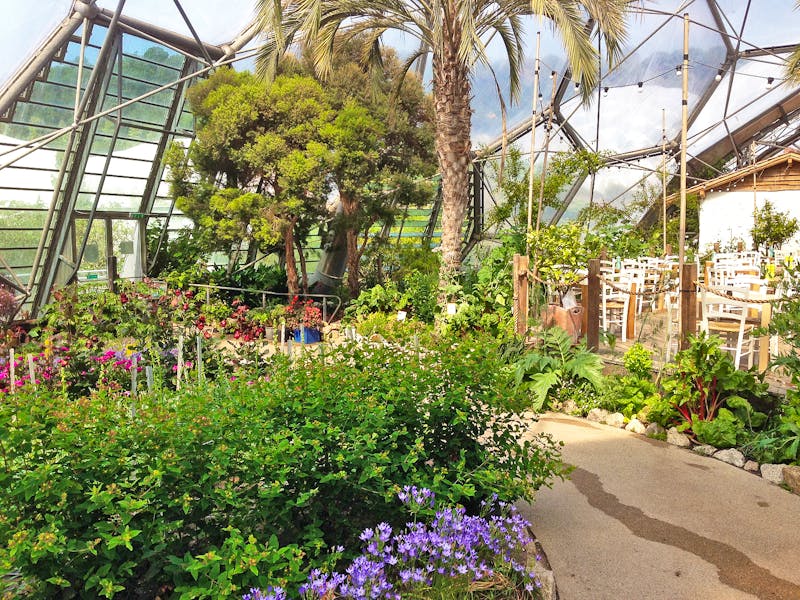 Eden Project - botanischer Garten in Cornwall - ©Constanze Hölig - Eberhardt TRAVEL