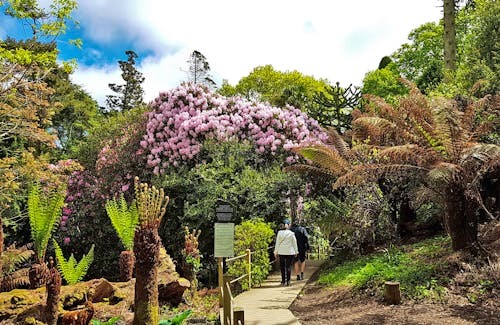 The Lost Gardens of Heligan &ndash; &copy; Marlies Thrum - Eberhardt TRAVEL