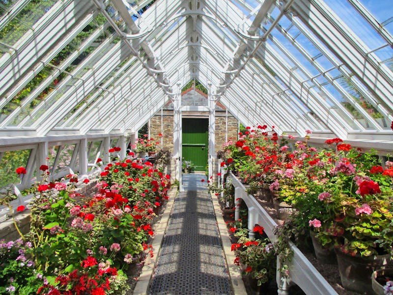 Gewächshaus in The Lost Gardens of Heligan - ©Constanze Hölig - Eberhardt TRAVEL