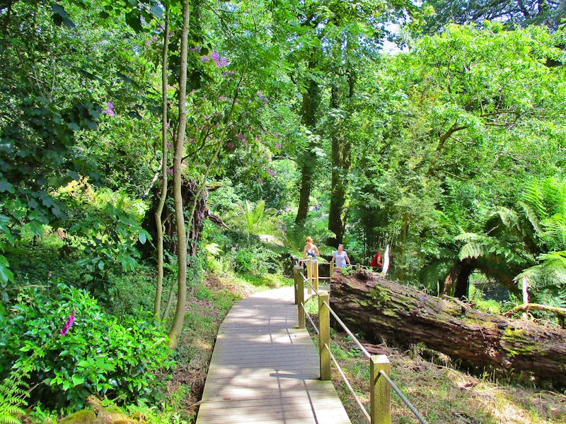 Spazierweg in den Lost Gardens of Heligan - ©Constanze Hölig - Eberhardt TRAVEL