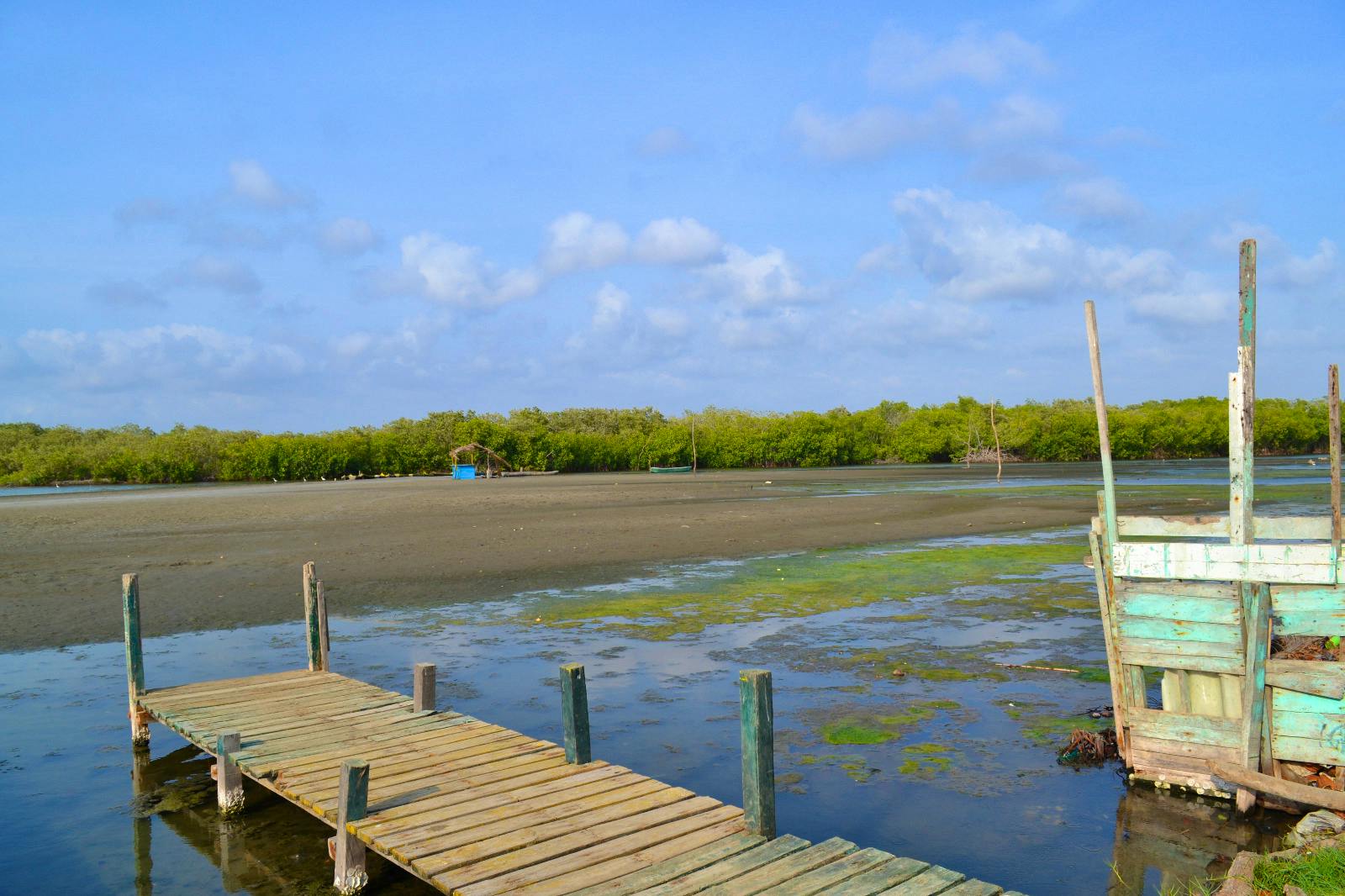 Kanufahrt durch Magroven - La Boquilla - &copy;Laura Wonneberger - Eberhardt TRAVEL