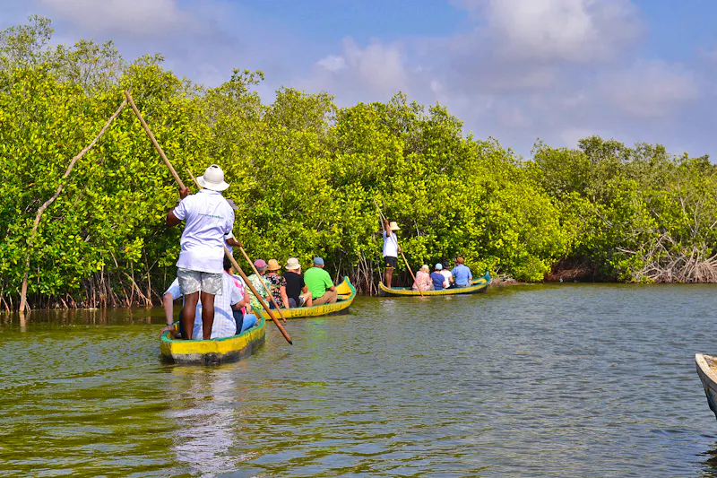 Kanufahrt durch Mangroven von La Boquilla - &copy;Laura Wonneberger - Eberhardt TRAVEL