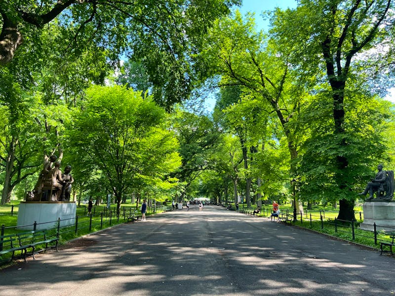 Central Park - ©Madlena Voigt