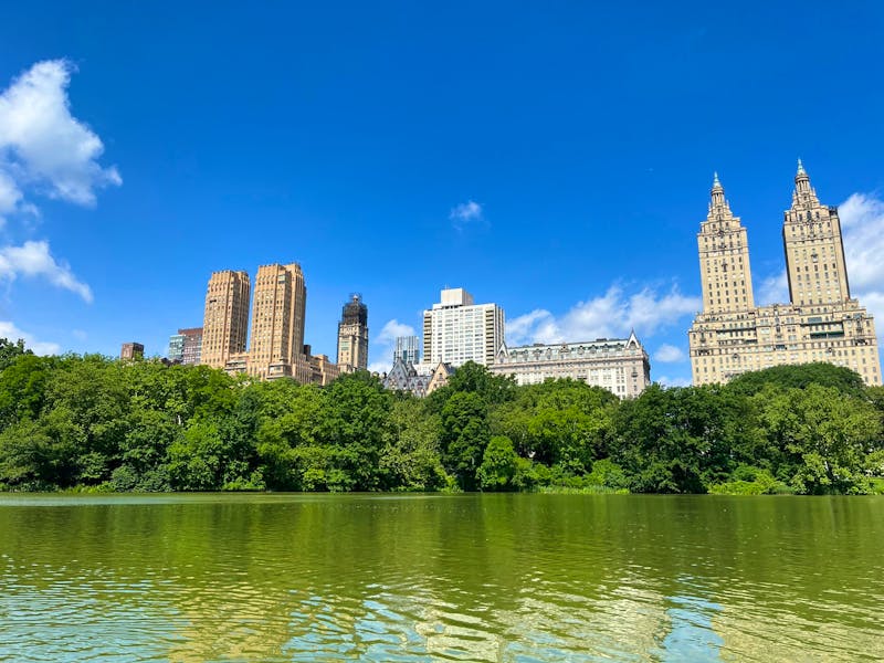 Central Park - ©Madlena Voigt