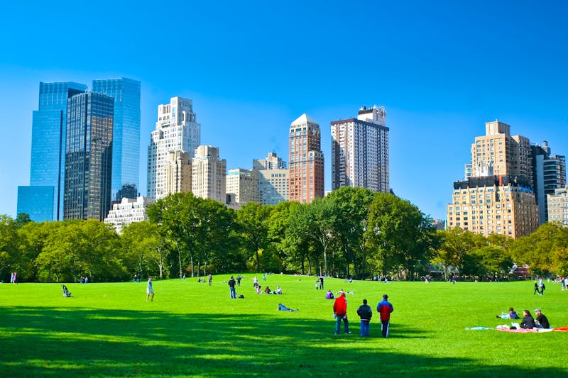 Central Park - New York - ©AlexQ - stock.adobe.com