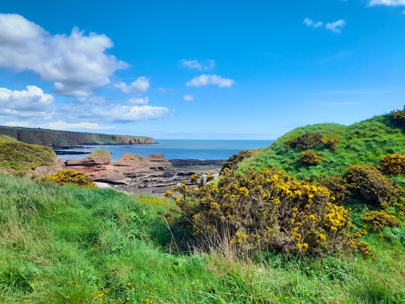 arbroath - ©Sinah Witzig - Eberhardt Travel