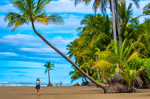 Manuel Antonio Nationalpark an der Pazifikküste Costa Ricas &ndash; &copy; Jakub - stock.adobe.com