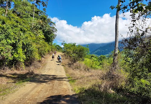 Ausritt mit Pferden zum Eco Chontales Wasserfall  &ndash; &copy; Ria Heilmann - Eberhardt TRAVEL