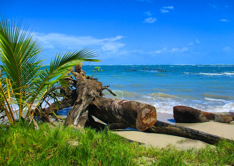Cahuita Nationalpark - ©Constanze Hölig - Eberhardt TRAVEL